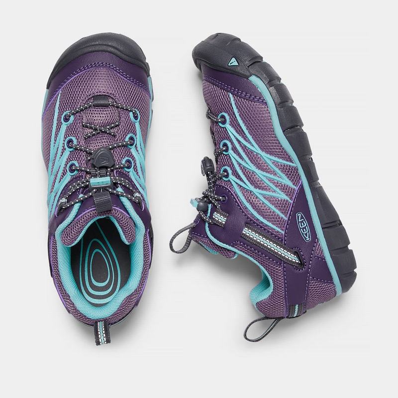 Keen Chandler Cnx Kids Hiking Shoes Purple/Light Turquoise Wholesale (4201-DOVGN)